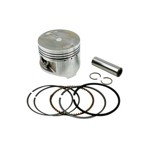 Nunc congue dui nec...