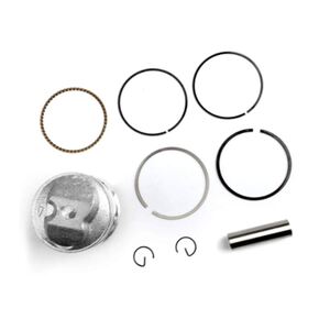 Nunc congue dui nec...