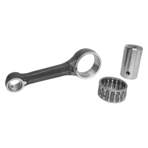 Nunc congue dui nec...