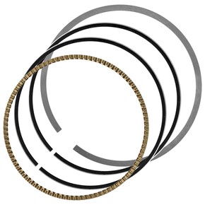 Nunc congue dui nec...