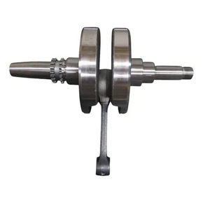 Nunc congue dui nec...