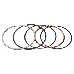 Nunc congue dui nec...