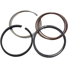 Nunc congue dui nec...