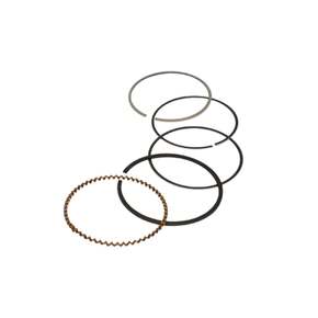 Nunc congue dui nec...