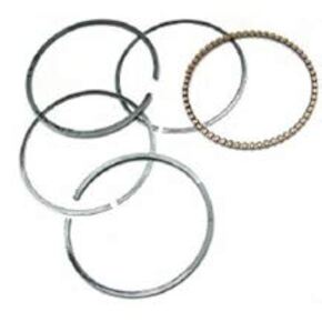 Nunc congue dui nec...