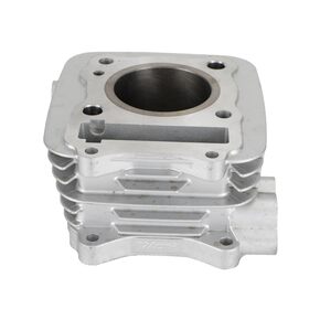 Nunc congue dui nec...