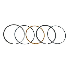 Nunc congue dui nec...