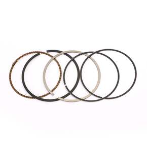 Nunc congue dui nec...