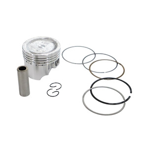 Nunc congue dui nec...