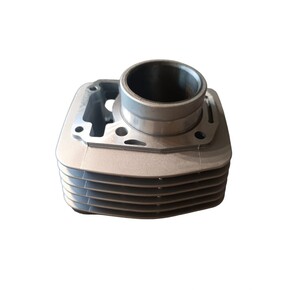 Nunc congue dui nec...