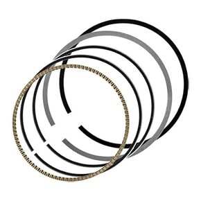 Nunc congue dui nec...