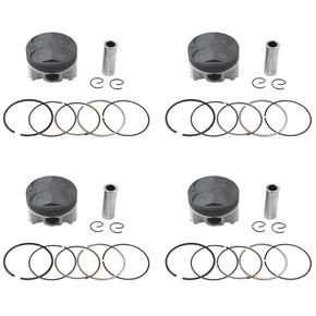 Nunc congue dui nec...