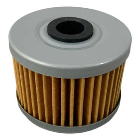 Nunc congue dui nec...